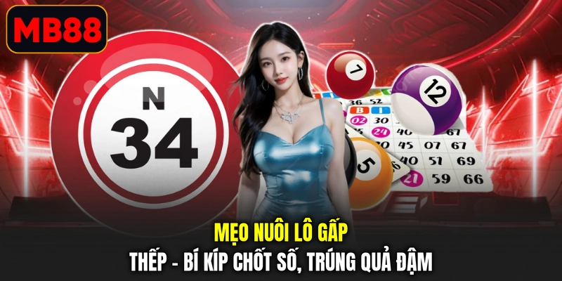 Mẹo Nuôi Lô Gấp Thếp - Bí Kíp Chốt Số, Trúng Quả Đậm