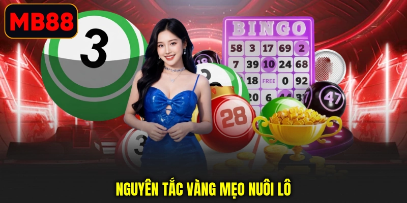 Nguyên tắc vàng mẹo nuôi lô 